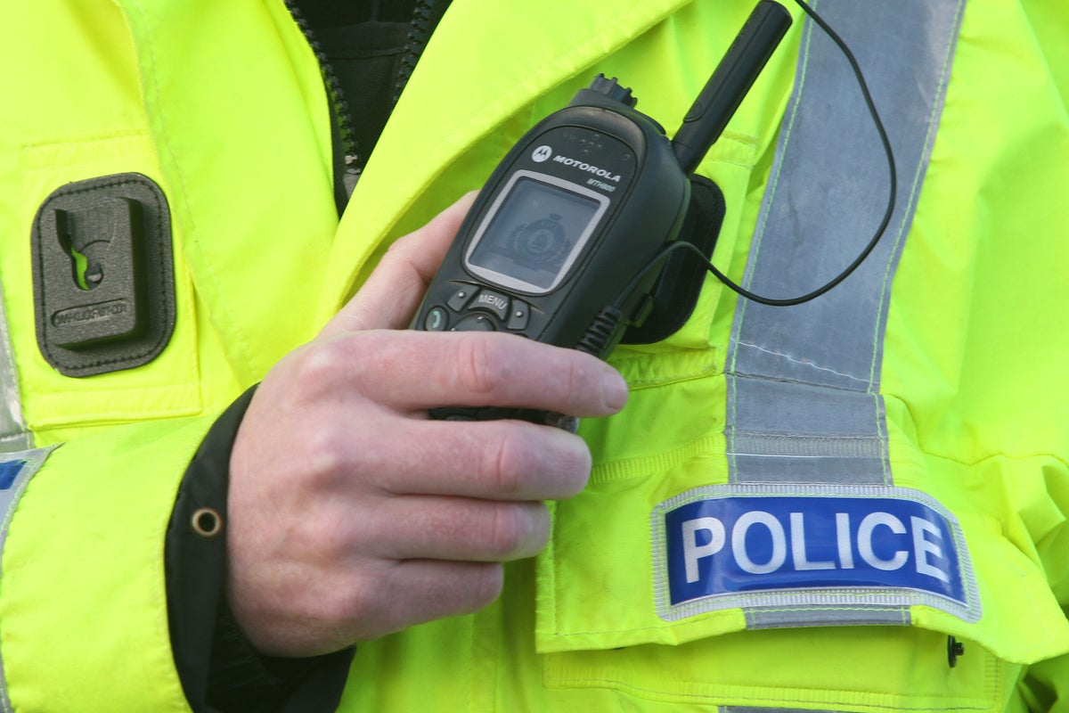 Police officer died after arrest during paternity leave amid misconduct probe, inquest hears
